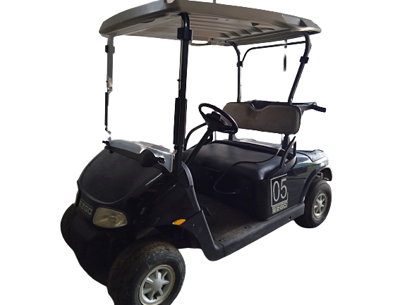 Jual Buggy Golf Second