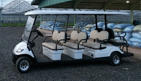 Jasa Rental Golf Cart